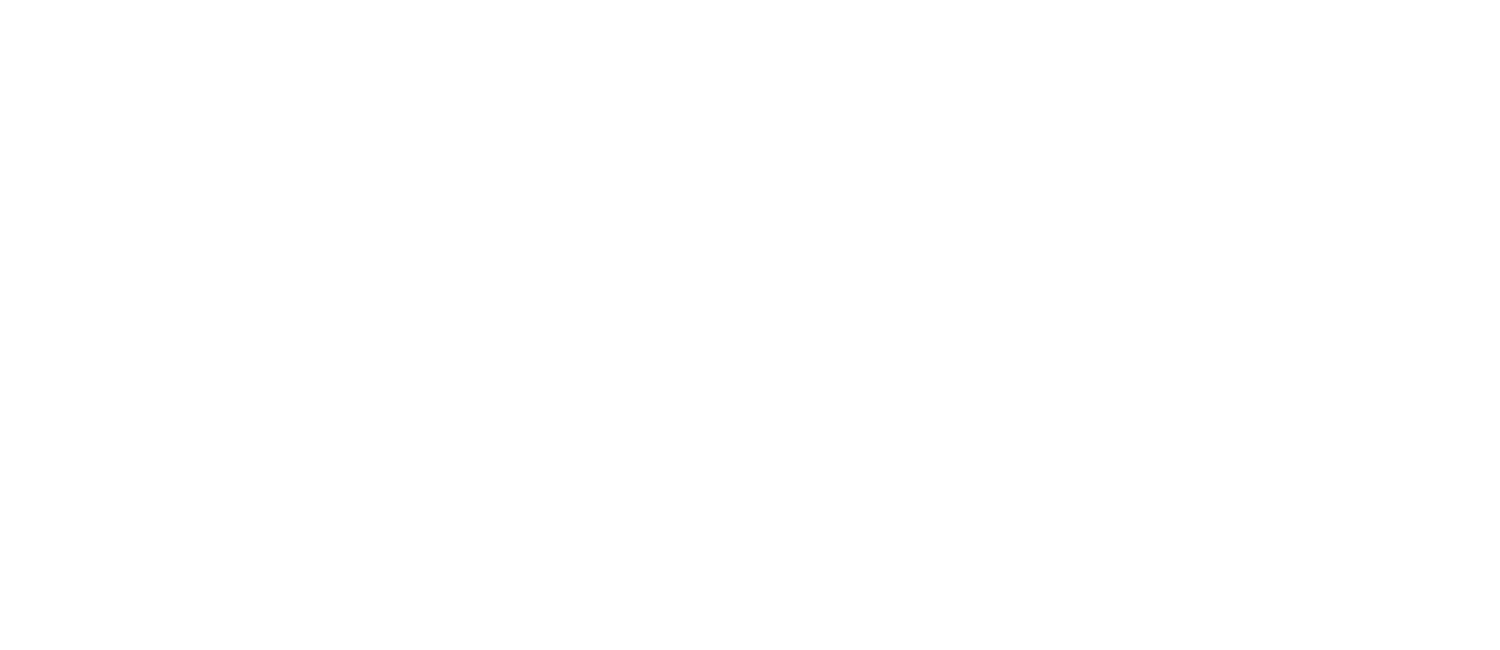 Ehrnsperger IT Solutions